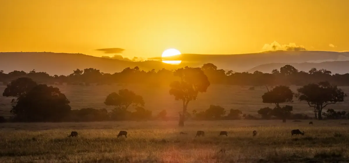 Maasai Mara National Reserve, Kenia