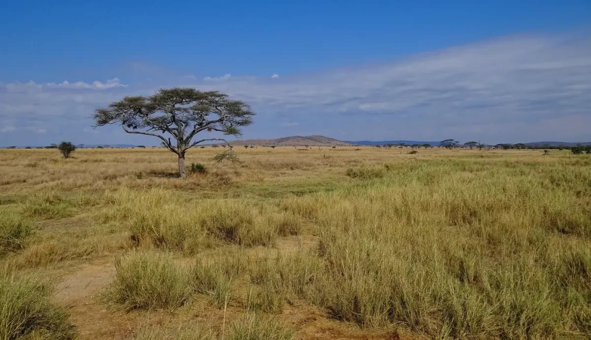 Serengeti National Park, Tanzânia