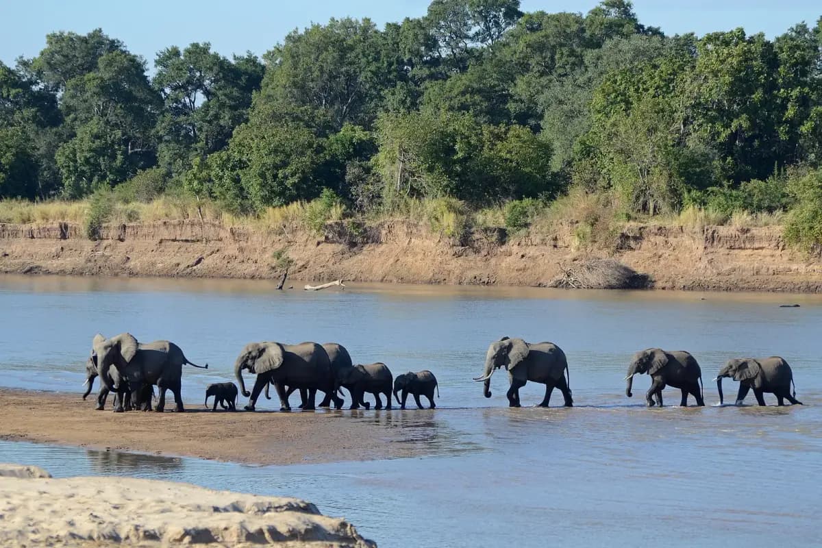 South Luangwa National Park, Zambia
