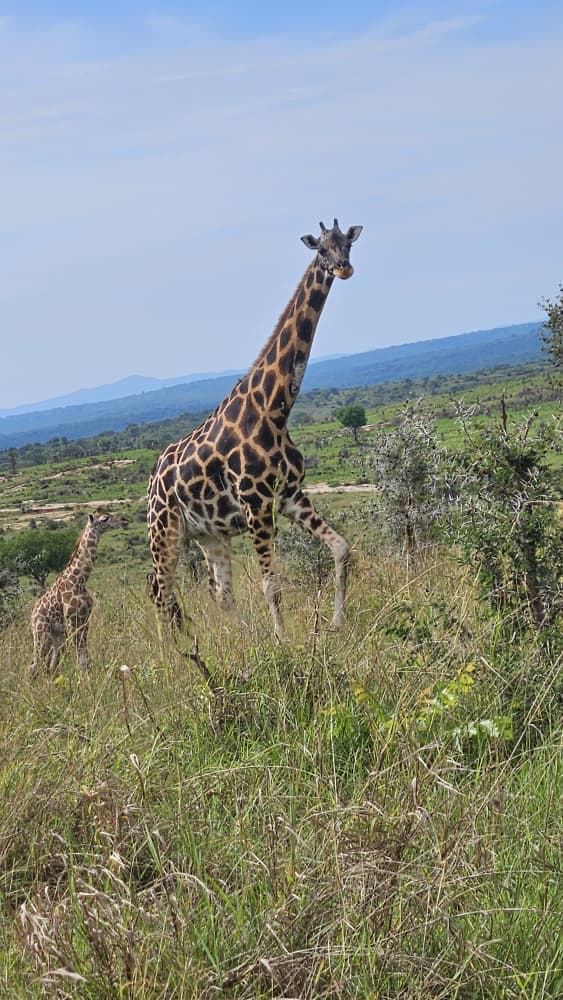 Lake Mburo National Park thumbnail 2